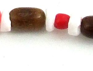 Rainbow shell large brown bead Necklace