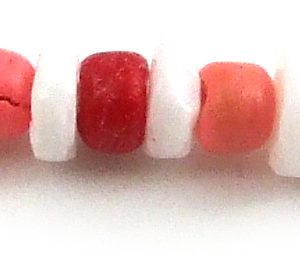 Rainbow shell round Necklace