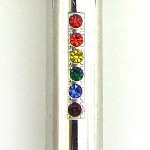 Rainbow Stainless Steel cylinder with stones pendent