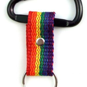 Rainbow key ring w/spring snap