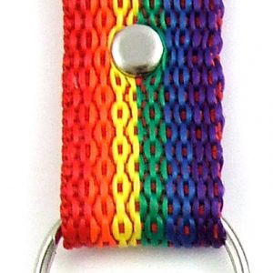Rainbow Nylon Key Chain