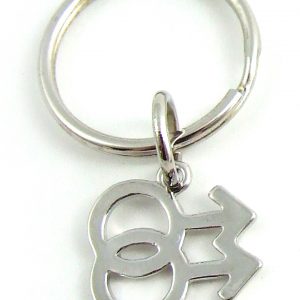 Double Male Key Ring