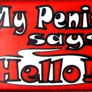 Magnet - My Penis Says Hello