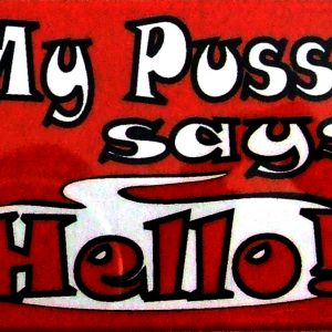 Magnet - My Pussy Says Hello