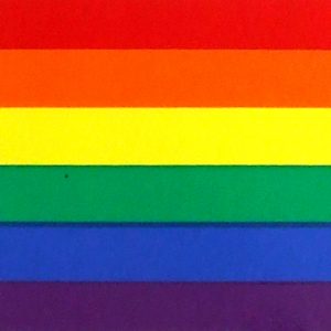 Magnet - Rainbow Strip 2" x 10"