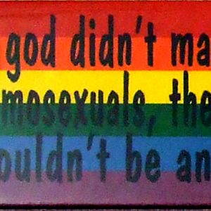 Magnet - If god didn't make homosexuals there wouldn't be any