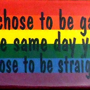 Magnet - I Chose to be gay the same day you chose