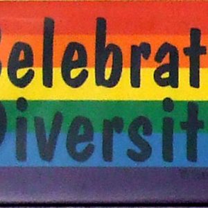 Magnet - Celebrate Diversity