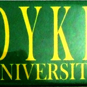 Magnet - Dyke University