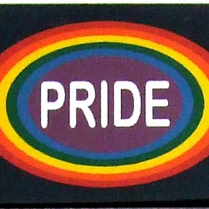Magnet - Rainbow Oval Pride