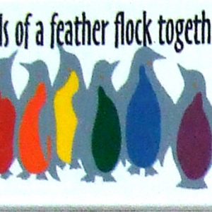 Magnet - Birds of a feather