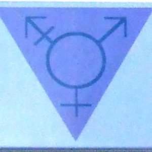 Magnet - Transgender