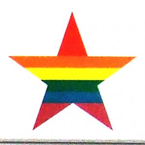 Magnet - Rainbow Star