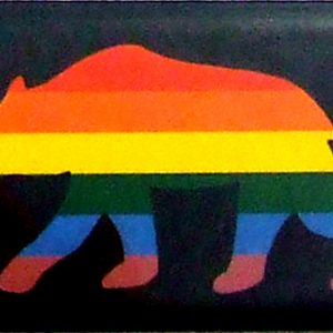 Magnet - Rainbow Bear