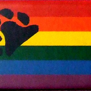 Magnet - Rainbow Bear Paw