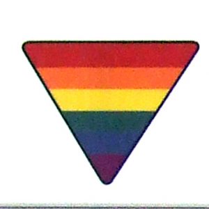 Magnet - Rainbow Triangle