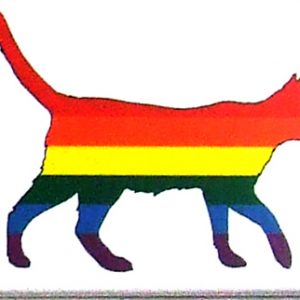 Magnet - Rainbow cat