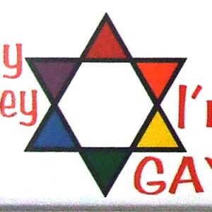 Magnet - Oy Vay I'm Gay