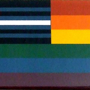 Magnet - Rain/Leather flag