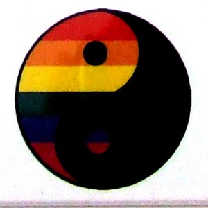 Magnet - Rainbow Yin/Yang