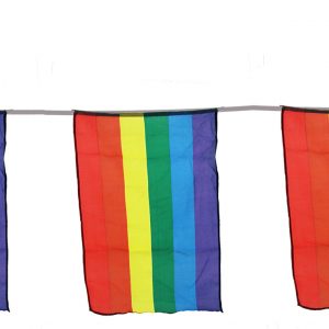 String Bunting - Twenty 12" x 18" Rainbow Flags - 30'