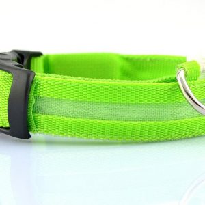 Pet Collar Nylon with LED Lights (Small, Green)