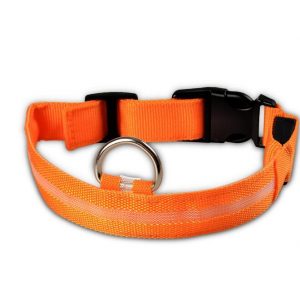 Pet Collar Nylon with LED Lights (Small, Orange)