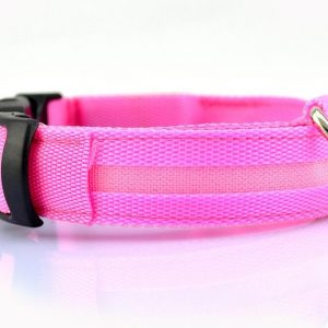 Pet Collar Nylon with LED Lights (Small, Pink)