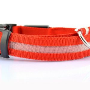 Pet Collar Nylon with LED Lights (Small, Red)