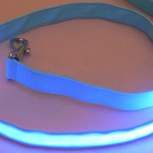4' Nylon Pet Leash with LED Lights (Medium Wide, Blue)