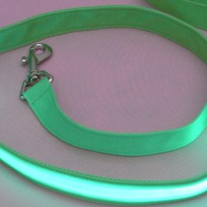 4' Nylon Pet Leash with LED Lights (Medium Wide, Green)