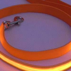 4' Nylon Pet Leash with LED Lights (Medium Wide, Orange)