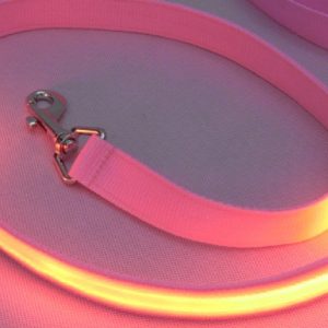 4' Nylon Pet Leash with LED Lights (Medium Wide, Pink)