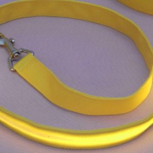 4' Nylon Pet Leash with LED Lights (Medium Wide, Yellow)