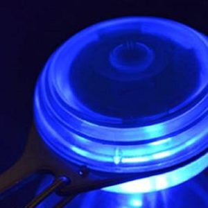 LED Lighted Pet Charm for Collar (Blue)