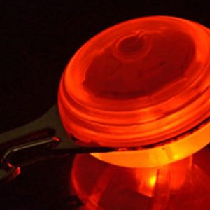 LED Lighted Pet Charm for Collar (Orange)
