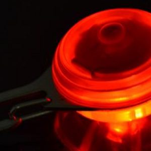 LED Lighted Pet Charm for Collar (Red)
